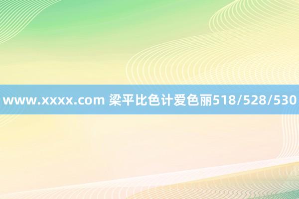 www.xxxx.com 梁平比色计爱色丽518/528/530